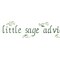 Sage Advice Wall Stencil | 1797 by Designer Stencils | Word & Phrase Stencils | Reusable Art Craft Stencils for Painting on Walls, Canvas, Wood | Reusable Plastic Paint Stencil for Home Makeover | Easy to Use & Clean Art Stencil